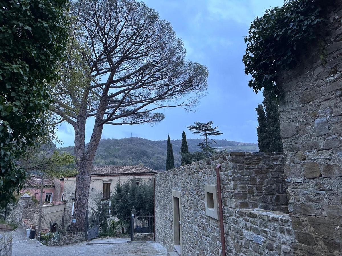 Casa Albini Bed & Breakfast Torchiara Exterior photo