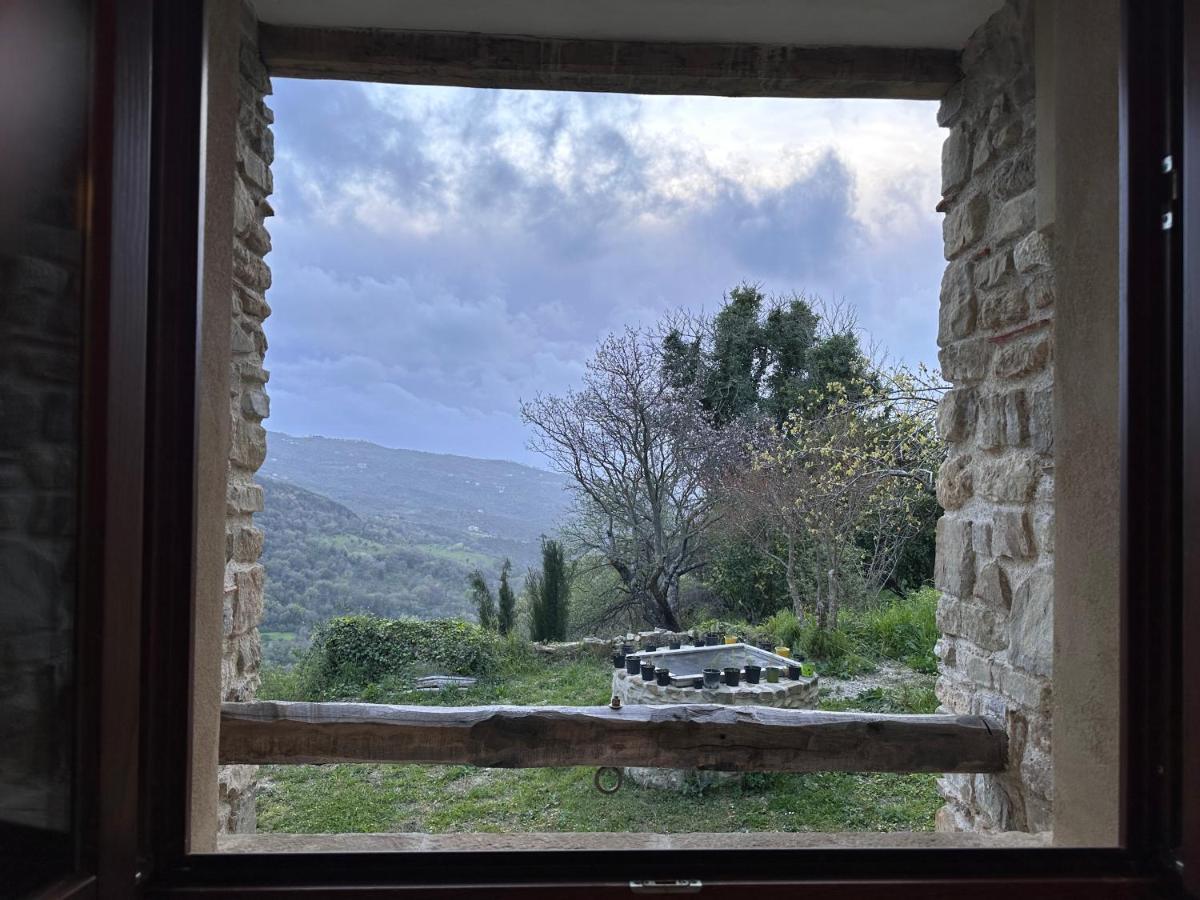 Casa Albini Bed & Breakfast Torchiara Exterior photo