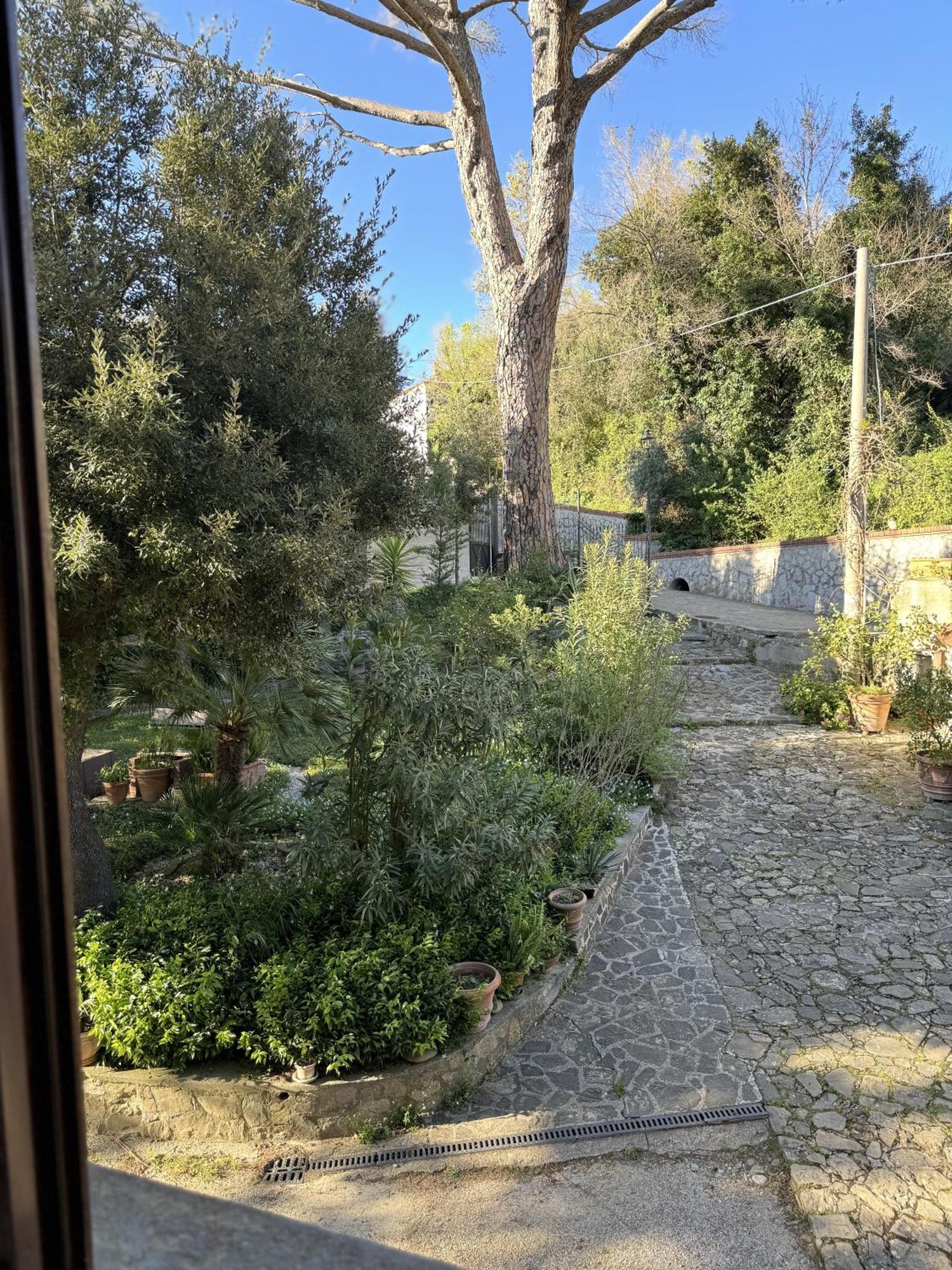 Casa Albini Bed & Breakfast Torchiara Exterior photo