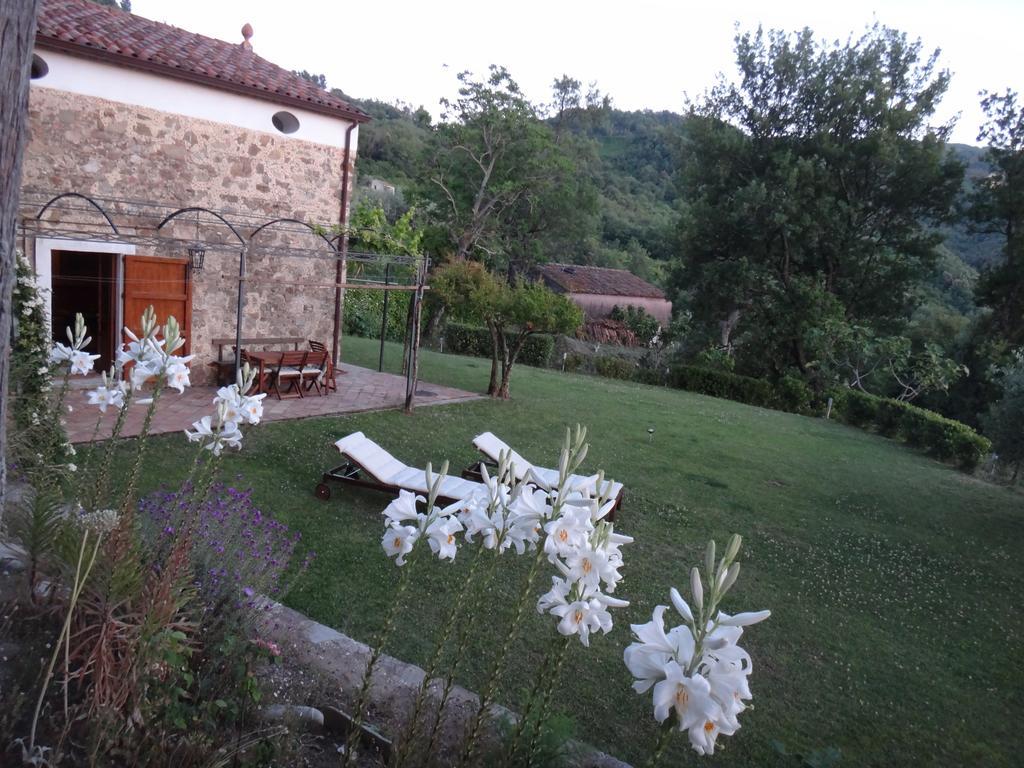 Casa Albini Bed & Breakfast Torchiara Room photo