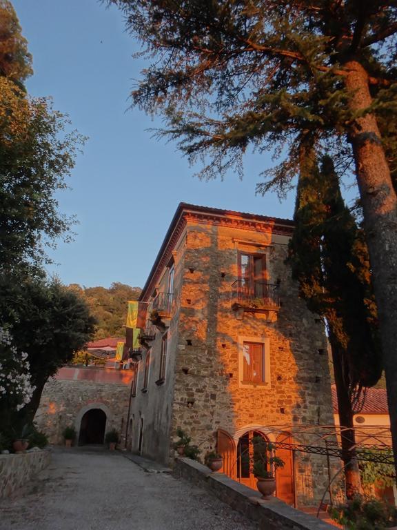 Casa Albini Bed & Breakfast Torchiara Exterior photo