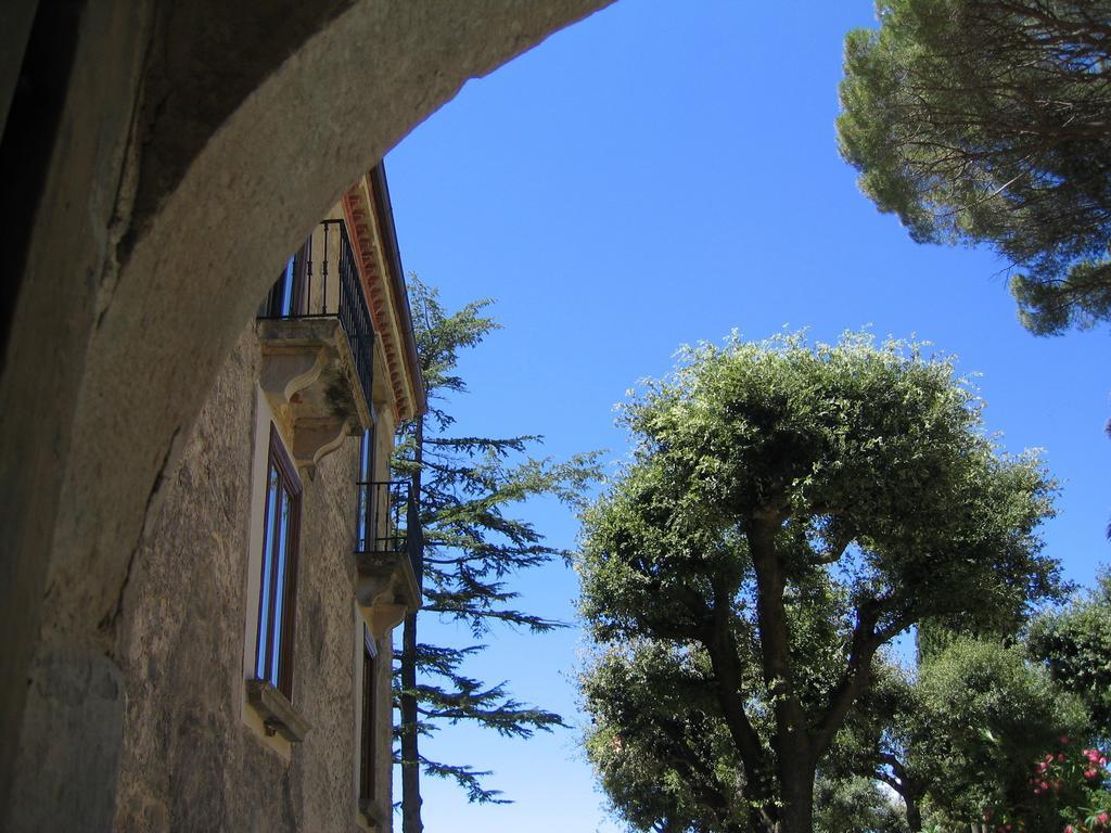 Casa Albini Bed & Breakfast Torchiara Exterior photo